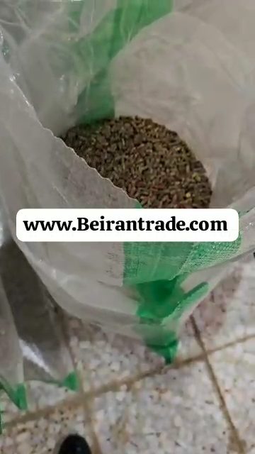 پسته4